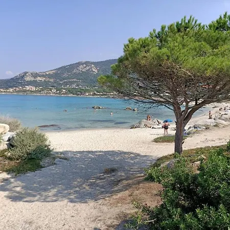 Hauteur De Sant Ambroggio Jardin Privatif Vue Holiday home Lumio (Corsica)